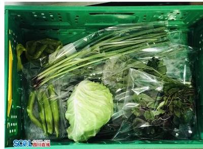 樂山啟動食用農產品合格證制度試點，保障農產品質量安全