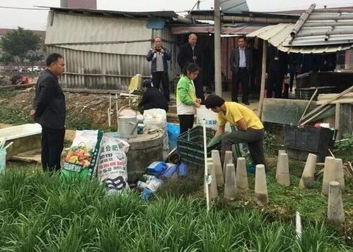 筑牢安全防線，高明區開展節前食用農產品專項檢查行動